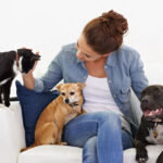All about the well-being of pets