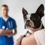 What is a naturopath for animals?