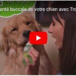 Oral health for your dog and cat with Tropiclean Fresh Breath