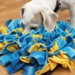 Les tapis de fouilles ou à lécher pour chien?