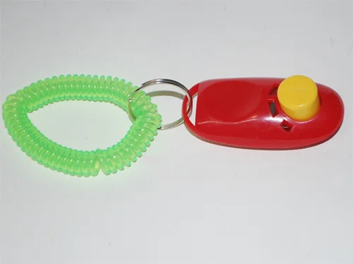 Clicker training pour dressage de chien