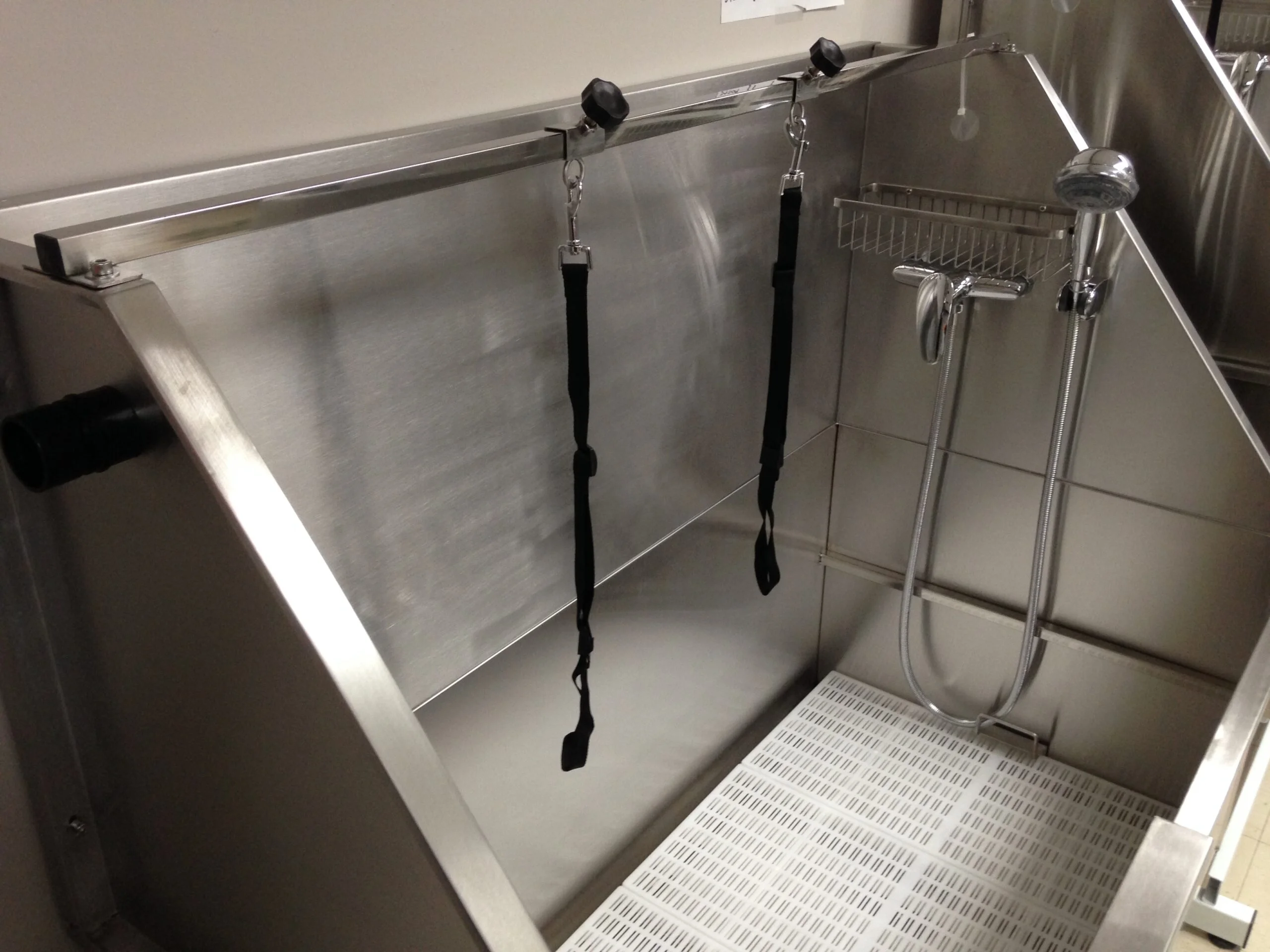 Bain toilettage fixe pour chien et chat. Acier inox, douche et escalier inclus