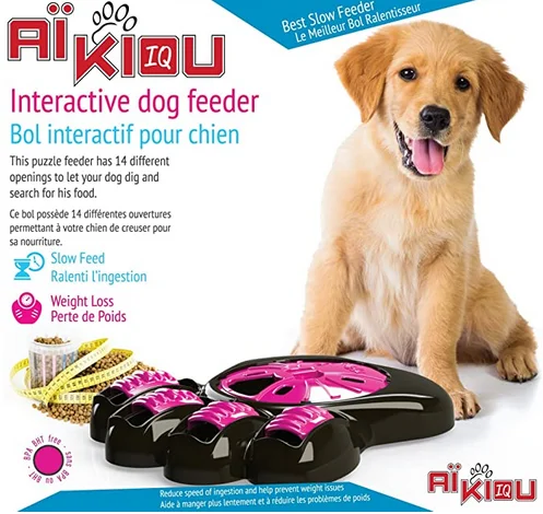 Aïkiou, bol interactif pour chien