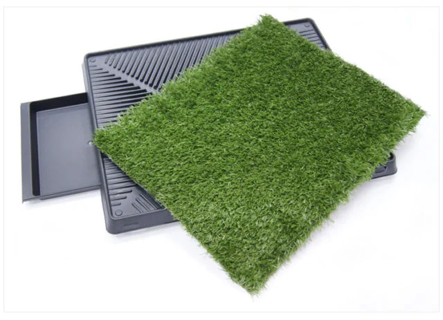 Plateau d'entrainement avec tapis gazon PetLoo pour chien