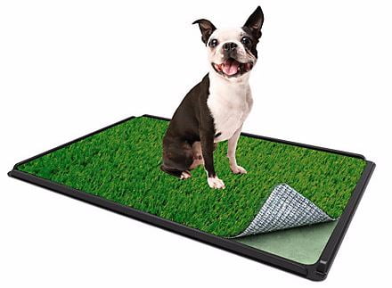 Gazon artificiel de tapis de secteur de formation de chien pour le