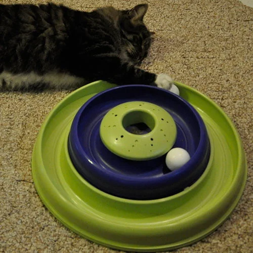 Ensemble jeu Hurricane pour chat