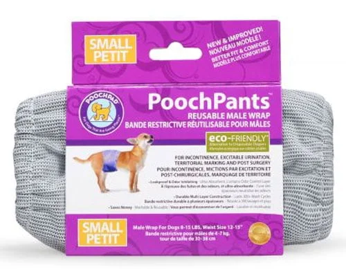 Accessoires d'hygiène pour petits chiens, culottes, bandeau anti pipi.