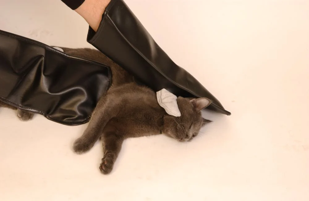Gant anti-morsures d'animaux pour le toilettage (paire), Proguard