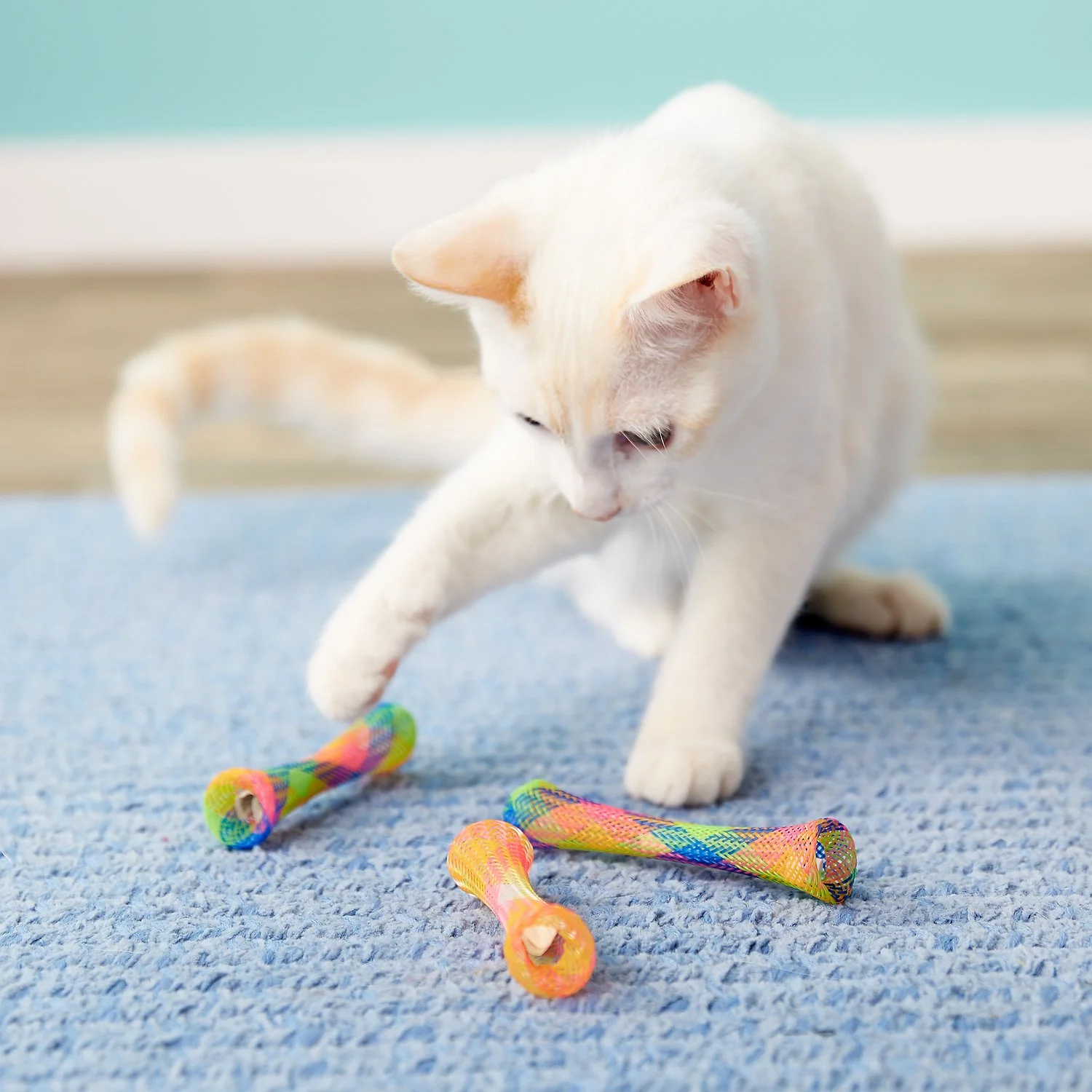 Jouet de nylon pour chat, Kitty Fun tubes, Spot