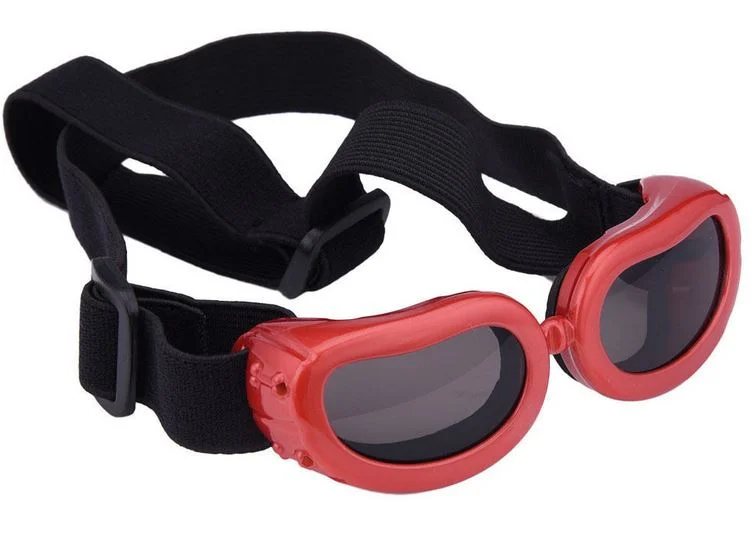 Petite lunette ou goggle pour chiens, rouge à verres fumés