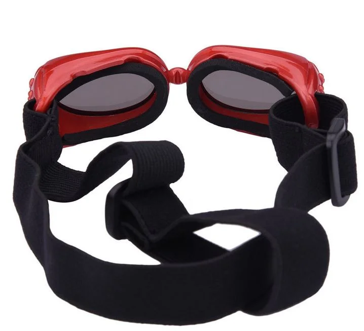 Petite lunette ou goggle pour chiens, rouge à verres fumés