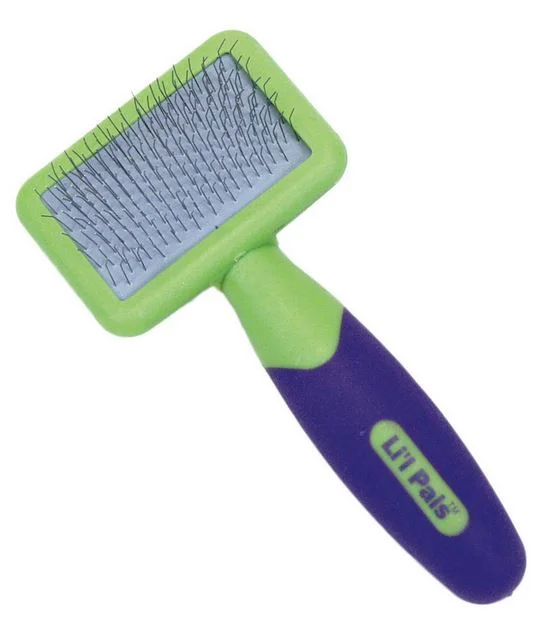 Brosse souple à étrilles pour petits animaux, Li'l Pals