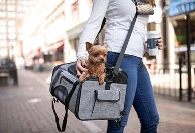 Sac de transport et siège d'auto Bergan pour chien et chat