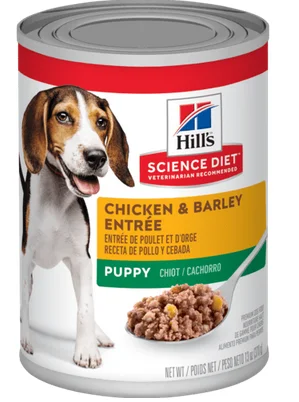 Concerve humide pour chiots, entrée de poulet et d'orge, Science Diet 13 oz (370g)