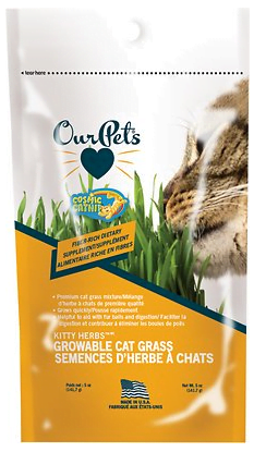 Semences d'herbe à chat