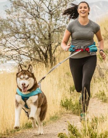 Laisse pour chien mains libres pour Canicross, Jogging, Joring