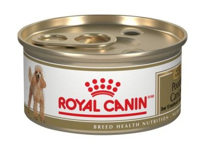 Conserve 85g Royal Canin pour caniche