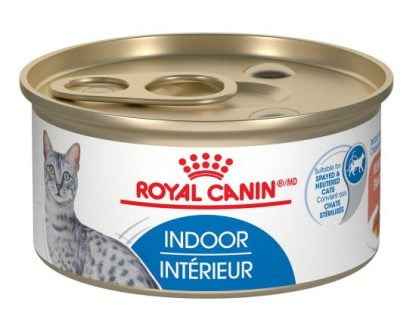 chat intérieur émincés en sauce, Royal Canin 85g