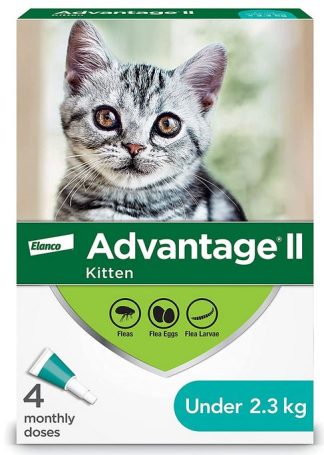 Advantage II Traitement anti-puces pour chatons pesant moins de 2,3 kg