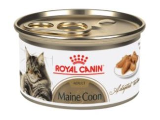 Conserve MAINE COON adulte 85 g