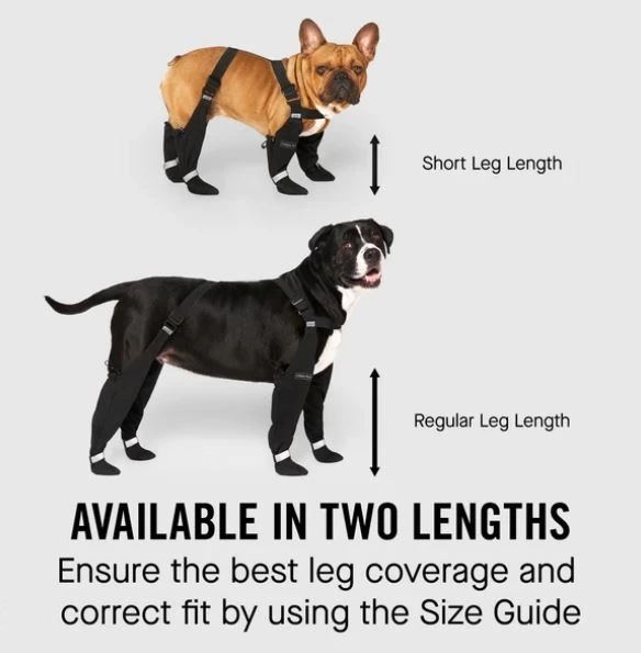 Bottes De Protection Pour Chien Post-Opératoire - Imperméables, Respirantes - Pour Pattes Avant