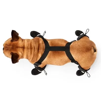 canada-pooch-suspender-boots-for-dog-4-pattes.