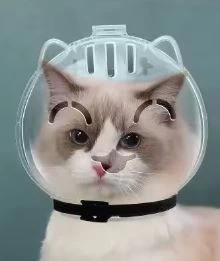Boule anti-morsure pour chats